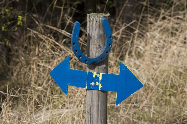 Horse stud, stables and tourist attraction at The Suffolk Punch Trust, Hollesley, Suffolk, England, United Kingdom, Europe