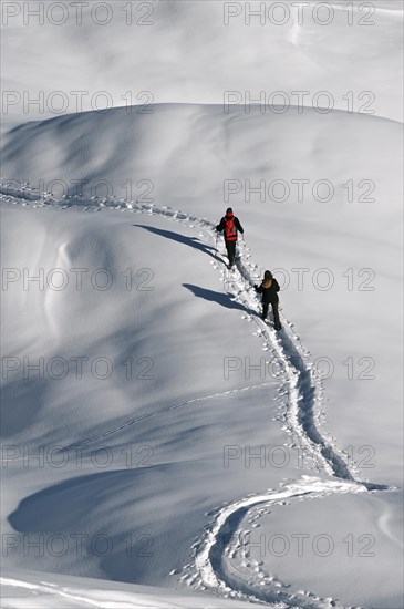 Snowshoe hiking in the Beverin nature park Park, Graubuenden, Switzerland, Europe