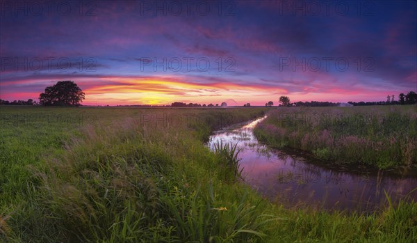 Landscape photo of a moat at sunset, wind, landscape format, evening light, landscape photography, nature photography, Brokeloh, Nienburg Weser, Lower Saxony, Germany, Europe
