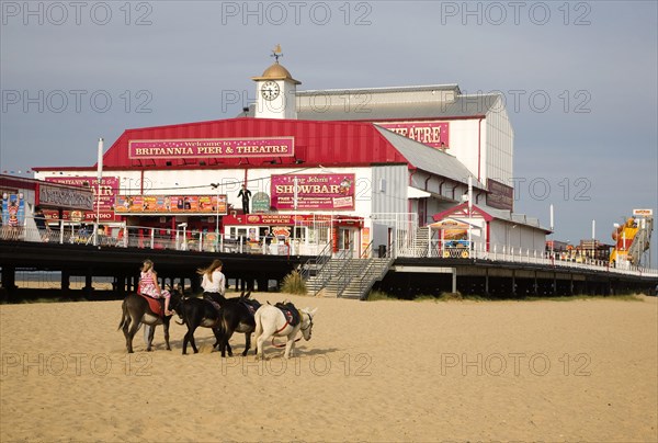 Donkey rides on sandy beach at Great Yarmouth, Norfolk, England, United Kingdom, Europe