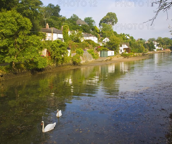 Pretty houses line the banks of river at Helford village, Cornwall, England, United Kingdom, Europe