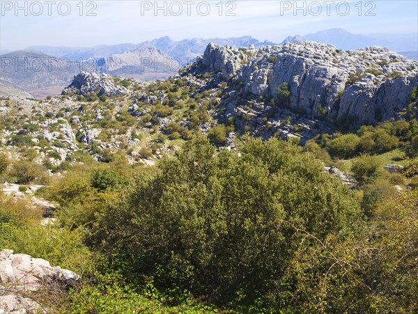 Dramatic limestone scenery of rocks shaped by erosion and weathering at El Torcal de Antequera national park, Andalusia, Spain, Europe