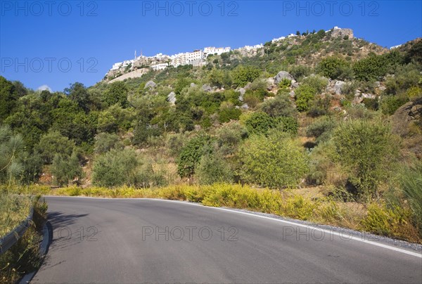 Road leading to the the hilltop Andalusian village of Comares, Malaga province, Spain, Europe