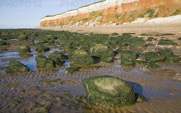 Chalk, red chalk and carstone form striped cliffs of white, red and orange at Hunstanton, Norfolk, England, United Kingdom, Europe