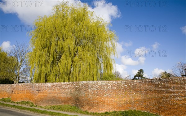 Red brick crinkle crankle or serpentine wall at Easton, Suffolk, England, United Kingdom, Europe