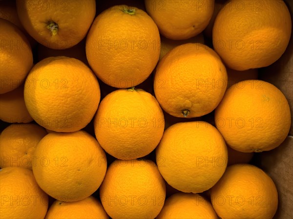 Oranges with high vitamin C content in display of grocery shop food retailer supermarket, Germany, Europe