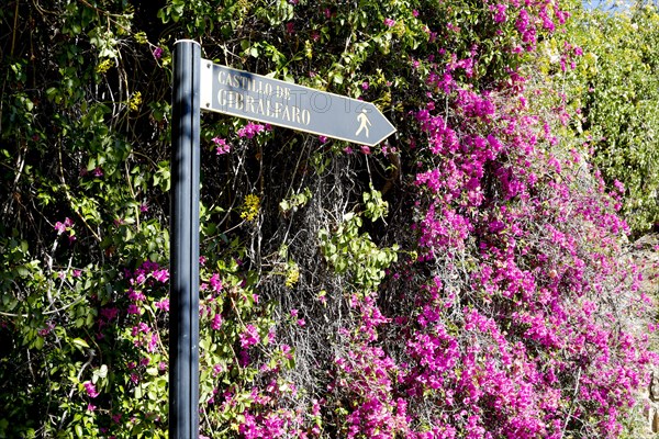 A sign shows the footpath to the Castillo de Gibralfaro in Malaga, Spain, 11/02/2019, Europe