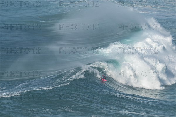 A surfer rides a crashing wave, Nazare, Portugal, Europe