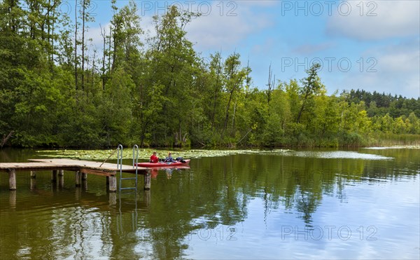 Canoeist at the lake, Berlin, Germany, Europe