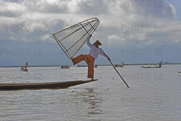 Intha fisherman, local man fishing with traditional conical fishing net, Inle Lake, Burma, Myanmar, Asia