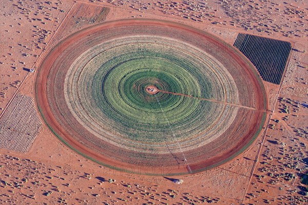 Aerial photo, circular field in the Kalahari desert, agriculture, irrigation, groundwater, alfalfa, field, circular, fodder, fodder, Namibia, Africa
