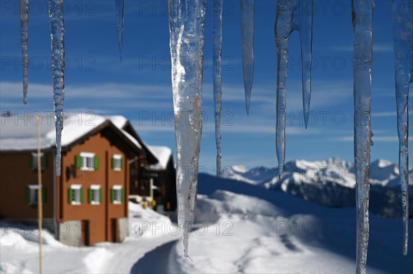 Icicle on a house in the Beverin nature park Park, Graubuenden, Switzerland, Europe