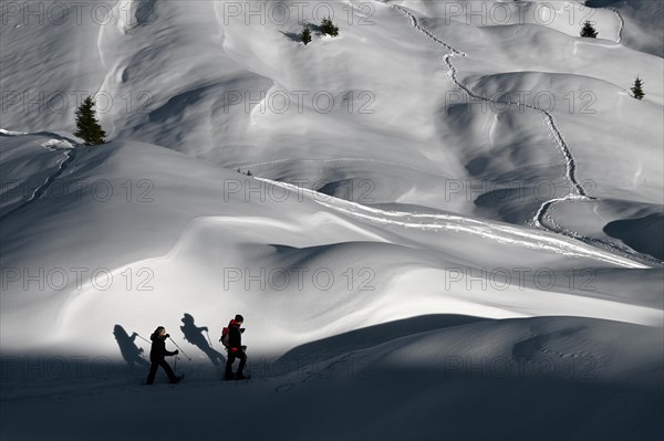 Snowshoe hiking in the Beverin nature park Park, Graubuenden, Switzerland, Europe