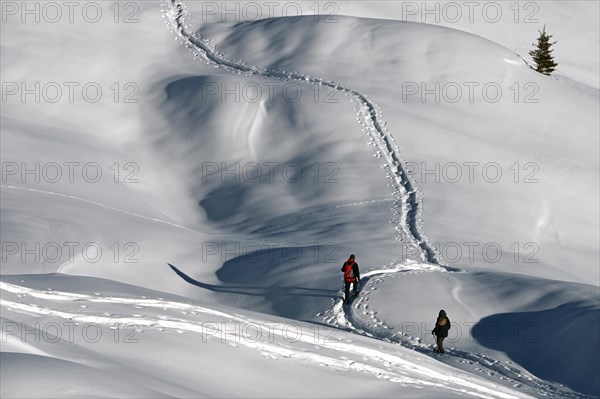 Snowshoe hiking in the Beverin nature park Park, Graubuenden, Switzerland, Europe