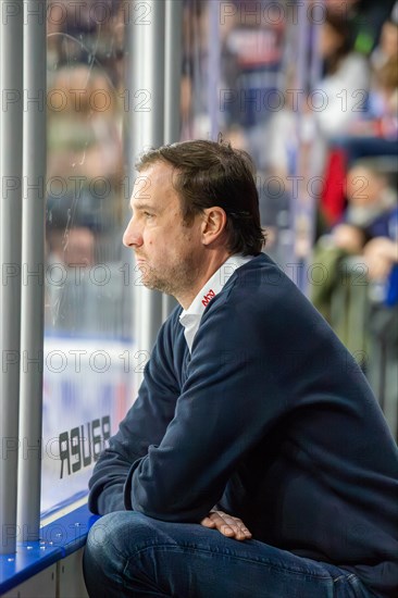 23 February 2024: Daniel Hopp at the Adler Mannheim match against the Nuremberg Ice Tigers