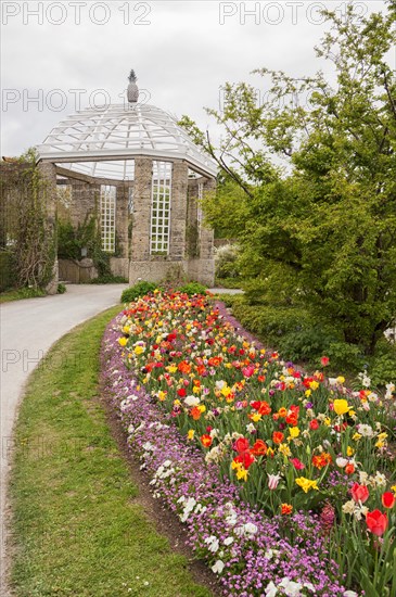 Botanical Garden, spring flowers, visitors, Munich, Bavaria, Germany, Europe