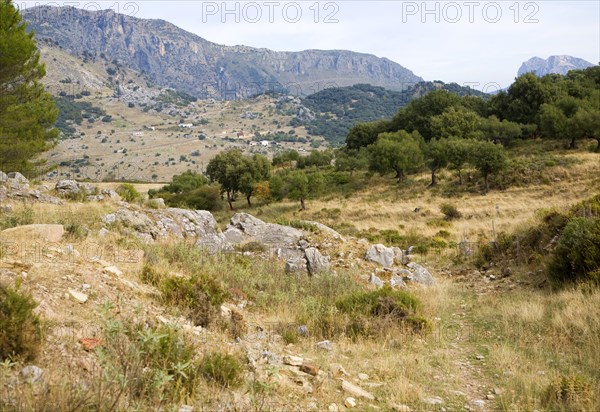 Landscape in Sierra de Grazalema natural park, Cadiz province, Spain, Europe