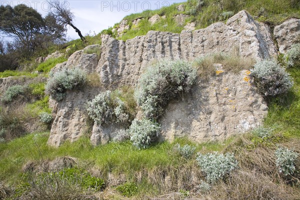 Pulhamite a type of man-made rock in the gardens at Bawdsey Manor, Suffolk, England, United Kingdom, Europe