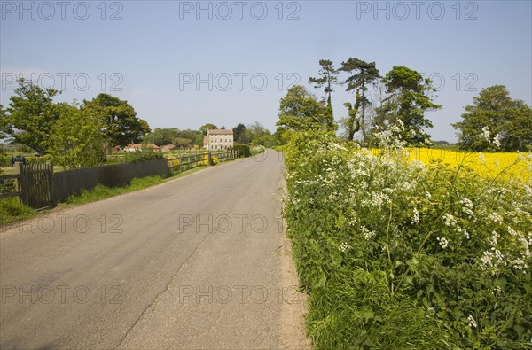 Quiet country road passes verge and fields, Bawdsey, Suffolk, England, United Kingdom, Europe
