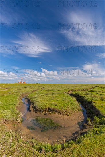 Saltmarsh and lighthouse Westerheversand at Westerhever in summer, Peninsula of Eiderstedt, Wadden Sea National Park, North Frisia, Germany, Europe