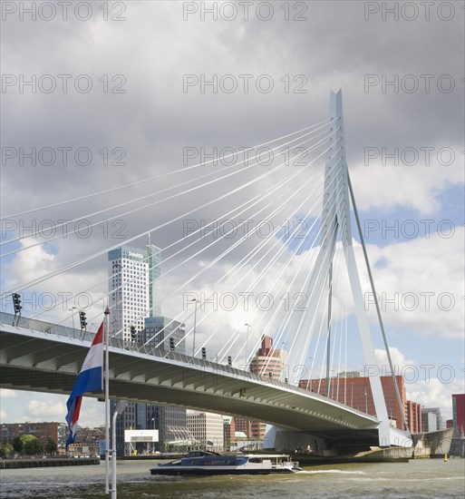 Erasmusbrug, Erasmus Bridge, spanning the River Maas, Rotterdam, Nethrlands