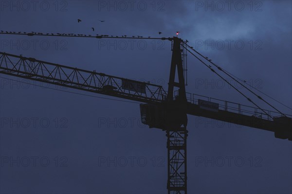 A crane works at blue hour in Berlin, 20/02/2024