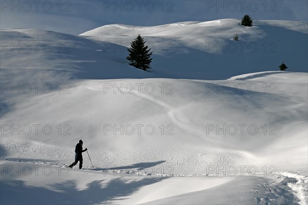 Snowshoe hiking in the Beverin nature park Park, Graubuenden, Switzerland, Europe