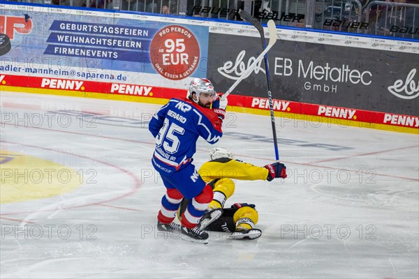 23.02.2024, DEL, German Ice Hockey League, Matchday 48) : Adler Mannheim (yellow jerseys) against Nuremberg Ice Tigers (blue jerseys), 3:2 after overtime