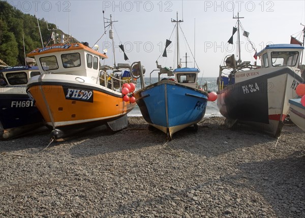 Fishing boats on the beach at the historic and attractive fishing village of Cadgwith Cove on the Lizard Peninsula, Cornwall, England, United Kingdom, Europe