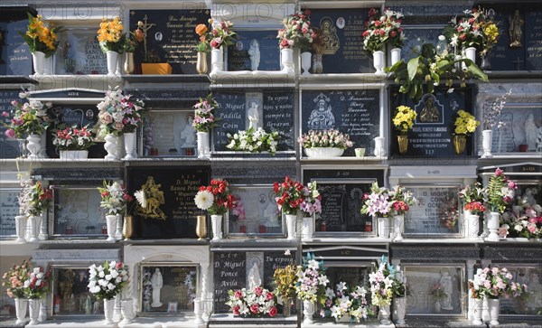 Traditional cemetery decorated with flowers in the Andalucian village of Comares, Malaga province, Spain, Europe