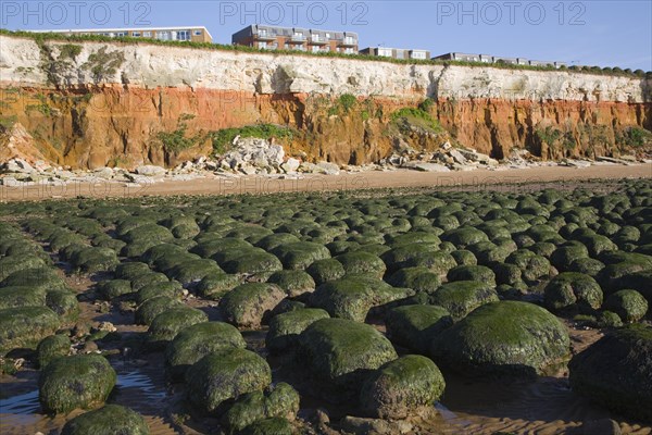 Chalk, red chalk and carstone form striped cliffs of white, red and orange at Hunstanton, Norfolk, England, United Kingdom, Europe