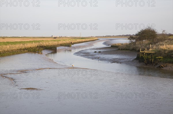 Mudflats and marsh at low tide, Wolsey's Creek, River Blyth, Reydon Marshes, Suffolk, England, United Kingdom, Europe