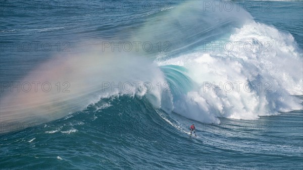 A surfer rides a crashing wave, Nazare, Portugal, Europe