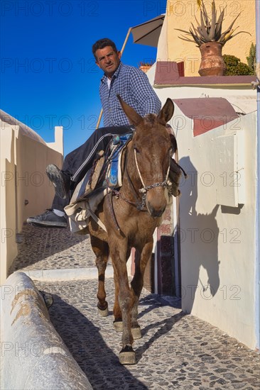 Animal load transport with rider, Oia, Santorini, Cyclades, Greece, Europe