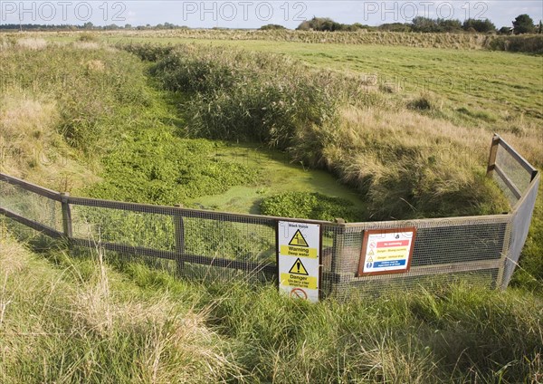 Eutrophication pond weed clogging drainage ditch, Hollesley marshes, Suffolk, England, United Kingdom, Europe