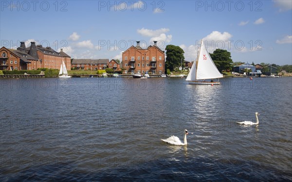 Boats on Oulton Broad, Suffolk, England, United Kingdom, Europe