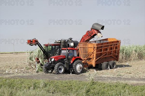 Sugar cane harvest with tractor and machine, near Santiago de Cuba, Cuba, Central America