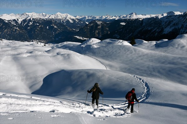 Snowshoe hiking in the Beverin nature park Park, Graubuenden, Switzerland, Europe