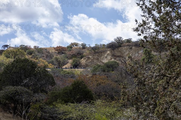 San Pablo Huitzo, Oaxaca, Mexico, A line of migrants walk north along a rural highway in the Etla Valley of southern Mexico. Many migrants are traveling through this area on their way to the United States, Central America