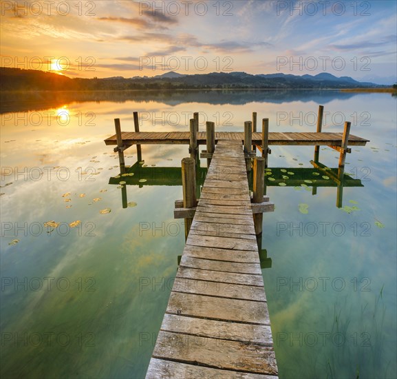 Wooden footbridge on Lake Pfaeffikon at sunrise, Pfaeffikon, Canton Zurich, Switzerland, Europe