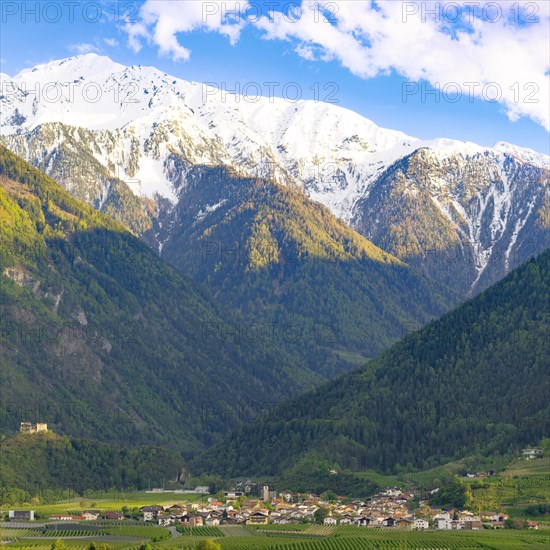 View of the village of Morter with the mountains of the Stelvio National Park behind it, evening mood, Goldrain, Latsch, Vinschgau, South Tyrol, Italy, Europe