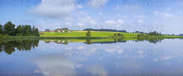 View over the Sachsenrieder Weiher in the morning, Panorama, Lake, Dietmannsried, Oberallgaeu, Bavaria, Germany, Europe