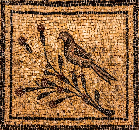 Mosaics, crypt of the excavations from the 4th century, Crypta degli Scavi, Basilica of Aquileia from the 11th century, largest floor mosaic of the Western Roman Empire, UNESCO World Heritage Site, important city in the Roman Empire, Friuli, Italy, Aquileia, Friuli, Italy, Europe