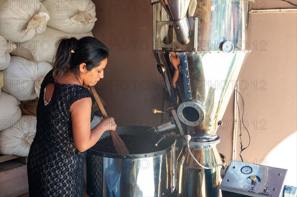 A woman roasting coffee beans on a coffee plantation, Pluma Hidalgo, Pochutla, Oxaca state, Sierra Madre del Sur, Mexico, Central America