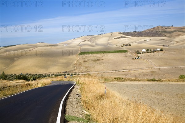 Road through farming landscape in rural Cadiz province near El Gastor village, Spain, Europe