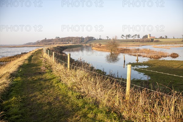 Coastal flooding leading to inundation of land not covered by flood water for 50 years, Ramsholt, Suffolk, England, December 2013