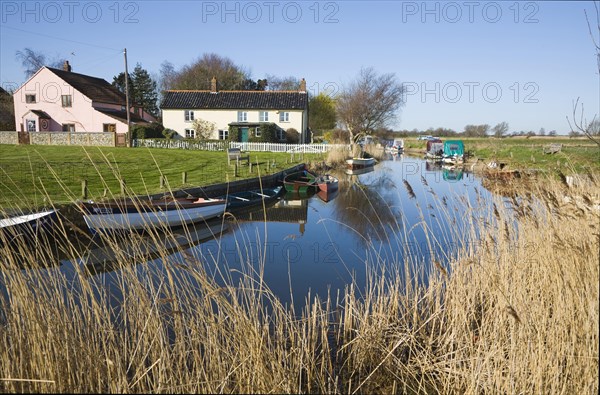 Norfolk Broads landscape at West Somerton, Norfolk, England, United Kingdom, Europe