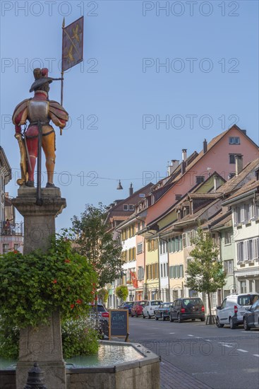 Old town of Dissenhofen am Rhein, fountain, flower decoration, district Frauenfeld, canton Thurgau, Switzerland, Europe
