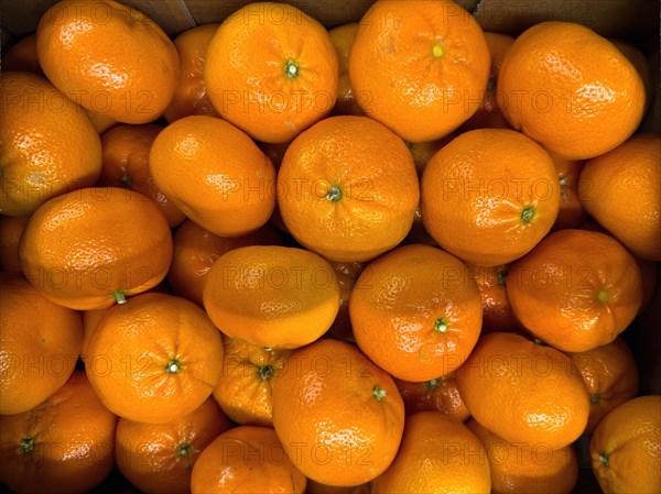 Tangerines on display in grocery shop grocery store grocer supermarket, Germany, Europe