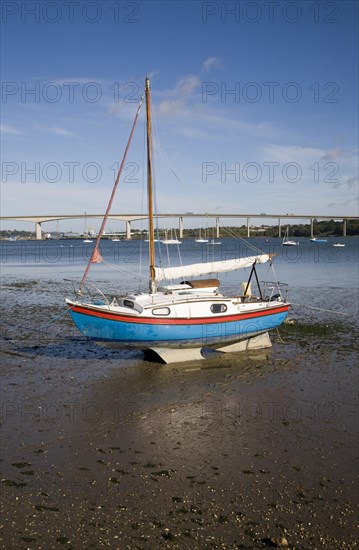 Sailing boat in mud at low tide with the Orwell Bridge in the background, River Orwell estuary, Freston Point, Suffolk, England, United Kingdom, Europe